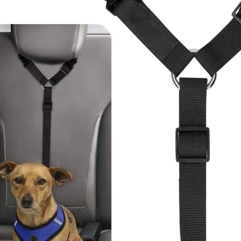 Car Seat Belt Pet Leash
